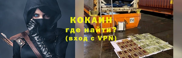 mdpv Богородицк