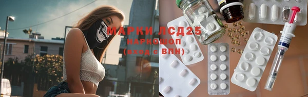 mdpv Богородицк
