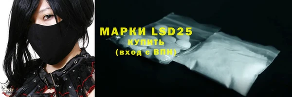 mdpv Богородицк