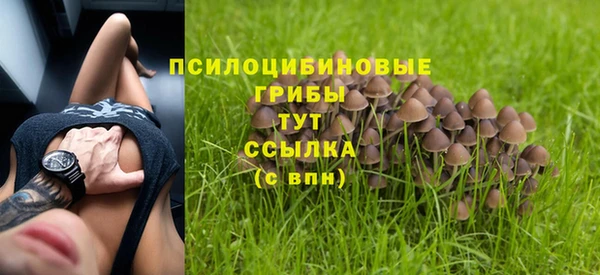винт Богородск