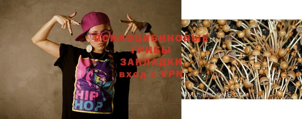 mdpv Богородицк